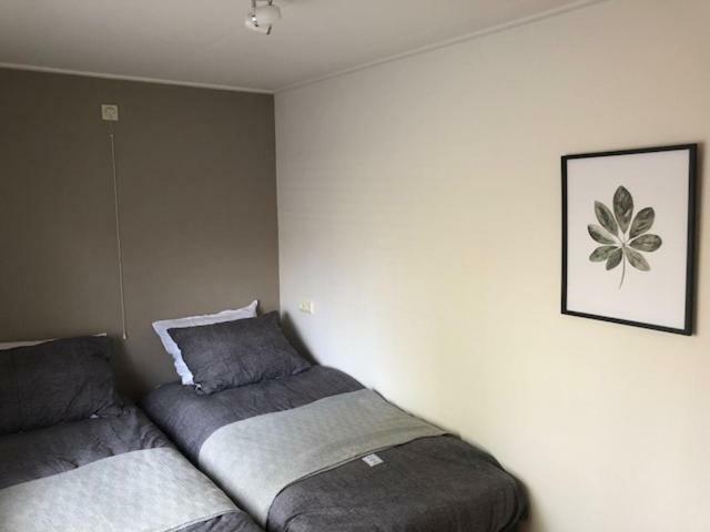 Vakantiebungalow De Groene Ster ליוורדן מראה חיצוני תמונה